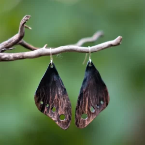 Earrings - butterfly wings